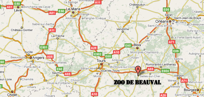 Plan zoo beauval